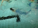 Meerjungfrauenschwimmen-105.jpg